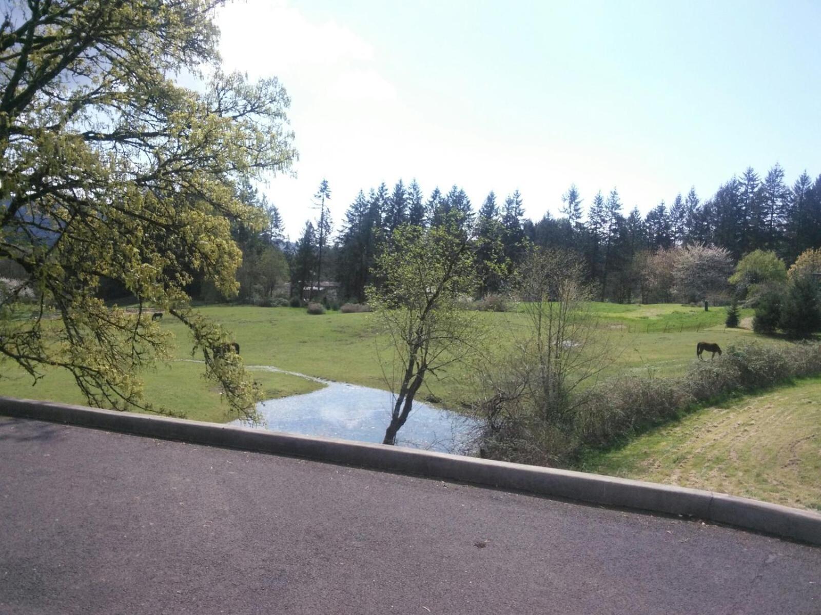 Vancouver Wa Beautiful Apartment Woodland Kültér fotó